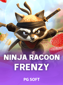 Ninja Racoon Frenzy