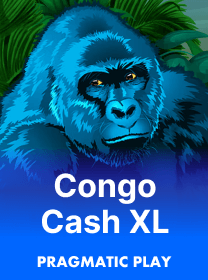 Congo Cash XL